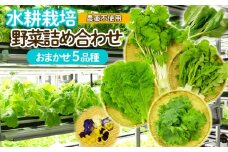 【ミライファーム】水耕栽培 野菜詰合せ おまかせ5品種【思いやり型返礼品】 FZ23-641 山形 山形県 山形市