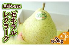 山形の洋梨ゼネラルレクラーク 秀品 約3kg (6～10玉) 【令和7年産先行予約】FU23-651 くだもの 果物 フルーツ 山形 山形県 山形市 2025年産