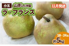 山形の洋梨 ラフランス 優品 約5kg (小玉2L～M/18～24玉)[11月発送] FZ23-653