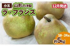 山形の洋梨 ラフランス 優品 約5kg (小玉2L～M/18～24玉)[12月発送] FZ23-654