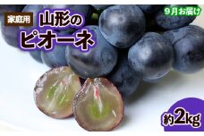 【ご家庭用】山形のピオーネ 優品 約2kg(2～6房)[9月お届け] 【令和7年産先行予約】FS23-645 くだもの 果物 フルーツ 山形 山形県 山形市 ぶどう 葡萄 ブドウ 2025年産