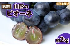 【ご家庭用】山形のピオーネ 優品 約2kg(2～6房)[10月お届け] 【令和7年産先行予約】FS23-646 くだもの 果物 フルーツ 山形 山形県 山形市 ぶどう 葡萄 ブドウ 2025年産