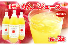 【山形産】りんごジュース 1L×3本 果汁100％ ｜ ストレートジュース 果汁飲料 フルーツ FY23-678