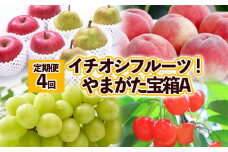 【定期便4回】イチオシフルーツ！やまがた宝箱A FY25-823
