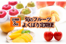 【定期便3回】旬のフルーツ　よくばり定期便 FY25-824