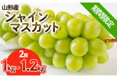 【期間限定】希少！冬のシャインマスカット 秀品 2房入り (1kg～1.2kg) FY25-903
