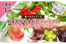 【定期便3回】★食べきりシリーズ★やまもりやまがたプレミアム～さくらんぼ・もも・ぶどう～ 【令和7年産先行予約】FS23-703 くだもの 果物 フルーツ 山形 山形県 山形市 2025年産