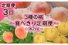 【定期便3回】3種の桃　食べきり定期便～各2kg～ 【令和7年産先行予約】FS23-706 くだもの 果物 フルーツ 山形 山形県 山形市 2025年産