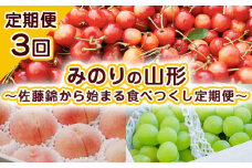 【定期便3回】みのりの山形～佐藤錦から始まる食べつくし定期便～ 【令和7年産先行予約】FU23-708 くだもの 果物 フルーツ 山形 山形県 山形市 2025年産