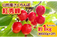 山形産 さくらんぼ 紅秀峰 Lサイズ以上 約1kg 【令和7年産先行予約】FS23-709 くだもの 果物 フルーツ 山形 山形県 山形市 2025年産