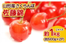 山形産 さくらんぼ 佐藤錦 Lサイズ 約1kg 【令和7年産先行予約】FS23-710 くだもの 果物 フルーツ 山形 山形県 山形市 2025年産