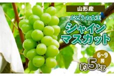 山形産ぶどうの女王 シャインマスカット 約5kg (6～9房） 【令和7年産先行予約】FS23-716 くだもの 果物 フルーツ 山形 山形県 山形市 2025年産