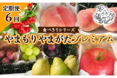 【定期便6回】★食べきりシリーズ★やまもりやまがたプレミアム 【令和7年産先行予約】FU23-735 くだもの 果物 フルーツ 山形 山形県 山形市 2025年産