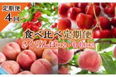 【定期便4回】★食べ比べ定期便★～さくらんぼ×2・もも×2～ 【令和7年産先行予約】FS23-736 くだもの 果物 フルーツ 山形 山形県 山形市 2025年産