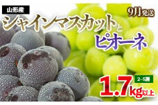 やまがたのぶどう シャインマスカット＆ピオーネ 秀品 約1.7kg(2～5房程度) [9月発送] 【令和7年産先行予約】FS23-752 くだもの 果物 フルーツ 山形 山形県 山形市 2025年産