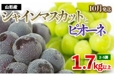 やまがたのぶどう シャインマスカット＆ピオーネ 秀品 約1.7kg(2～5房程度) [10月発送] 【令和7年産先行予約】FS23-753 くだもの 果物 フルーツ 山形 山形県 山形市 2025年産