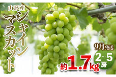 やまがたのぶどう シャインマスカット 秀品 約1.7kg(2～5房程度) [9月発送]　 【令和7年産先行予約】FS23-754 くだもの 果物 フルーツ 山形 山形県 山形市 2025年産