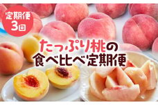 【定期便3回】たっぷり桃の食べ比べ定期便 【令和7年産先行予約】FS23-768 くだもの 果物 フルーツ 山形 山形県 山形市 2025年産