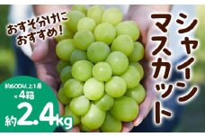 おすそ分けにおすすめ！シャインマスカット 秀品 約2.4kg(約600g1房×4箱) 【令和7年産先行予約】FS23-770 くだもの 果物 フルーツ 山形 山形県 山形市 2025年産