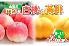 山形産 硬めの白桃と黄桃　約３kgセット（6～14玉)　秀品  【令和7年産先行予約】FS23-779 くだもの 果物 フルーツ 山形 山形県 山形市 2025年産