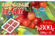 山形のさくらんぼ 紅秀峰 約800g(200g×4) 【令和7年産先行予約】FS23-809 くだもの 果物 フルーツ 山形 山形県 山形市 2025年産