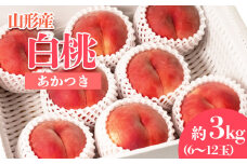 やまがたの桃(白桃) あかつき 秀品 約3kg(6～12玉程度) 【令和7年産先行予約】FS23-810 くだもの 果物 フルーツ 山形 山形県 山形市 2025年産