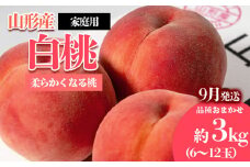 [ご家庭用]やまがたの桃 (白桃) 品種お任せ「柔らかくなる桃」9月 優品 約3kg(6～12玉程度) 【令和7年産先行予約】FS23-812 くだもの 果物 フルーツ 山形 山形県 山形市 2025年産