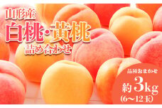 やまがたの桃(白桃・黄桃詰合せ)  品種お任せ 白桃＆黄桃 秀品 約3kg(6～12玉程度) 【令和7年産先行予約】FS23-813 くだもの 果物 フルーツ 山形 山形県 山形市 2025年産