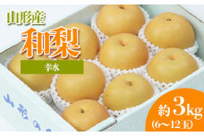 やまがたの和なし (幸水) 秀品 約3kg(6～12玉程度) 【令和7年産先行予約】FS23-814 くだもの 果物 フルーツ 山形 山形県 山形市 2025年産