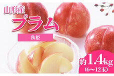 やまがたのプラム 秋姫(あきひめ) 秀品 約1.4kg(6～12玉程度) 【令和7年産先行予約】FS23-815 くだもの 果物 フルーツ 山形 山形県 山形市 2025年産