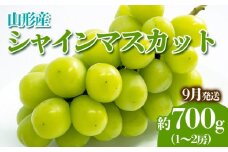 やまがたのぶどう シャインマスカット 9月 秀品 約700g(1～2房程度) 【令和7年産先行予約】FS23-816 くだもの 果物 フルーツ 山形 山形県 山形市 2025年産