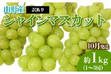 [訳あり]やまがたのぶどう シャインマスカット 10月 優品 約1kg(1～3房程度) 【令和7年産先行予約】FS23-819 くだもの 果物 フルーツ 山形 山形県 山形市 2025年産