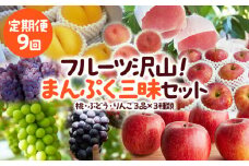 【定期便9回】フルーツ沢山！まんぷく三昧セット (桃・ぶどう・りんご 3品目×3種類) 【令和7年産先行予約】FU23-849 くだもの 果物 フルーツ 山形 山形県 山形市 2025年産
