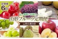 【定期便6回】山形の恵みB 【令和7年産先行予約】FU23-728 くだもの 果物 フルーツ 山形 山形県 山形市 2025年産