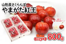 さくらんぼ やまがた紅王 約800g(200g×4パック) 2Lサイズ以上 【令和7年産先行予約】FS24-562くだもの 果物 フルーツ 山形 山形県 山形市 2025年産