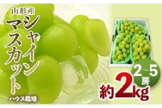 [ハウス栽培]山形のシャインマスカット 秀品 約2kg(2～5房) 【令和7年産先行予約】FS24-640くだもの 果物 フルーツ 山形 山形県 山形市 2025年産