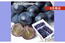 山形のぶどう ピオーネ 秀品 約2kg(2～5房) [8月発送] 【令和7年産先行予約】FS24-650くだもの 果物 フルーツ 山形 山形県 山形市 2025年産