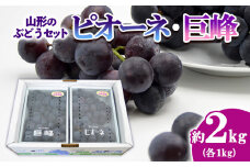山形のぶどうセット 秀品 約2kg(ピオーネ約1kg2房前後・巨峰約1kg2房前後)[9月中旬～10月中旬お届け] 【令和7年産先行予約】FS24-572くだもの 果物 フルーツ 山形 山形県 山形市 2025年産
