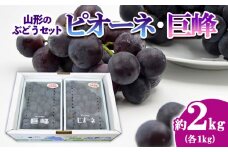 山形のぶどうセット 秀品 約2kg(ピオーネ約1kg2房前後・巨峰約1kg2房前後)[9月中旬～10月中旬お届け] 【令和7年産先行予約】FS24-572くだもの 果物 フルーツ 山形 山形県 山形市 2025年産