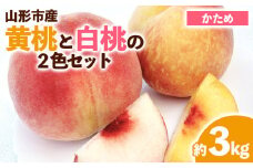 山形市産 黄桃と白桃の2色セット 秀 3kg(硬め） 【令和7年産先行予約】FS23-848 くだもの 果物 フルーツ 山形 山形県 山形市 2025年産