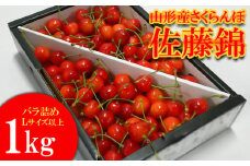 山形産 さくらんぼ 佐藤錦 1kg バラ詰め Ｌ以上 【令和7年産先行予約】FS23-776 くだもの 果物 フルーツ 山形 山形県 山形市 2025年産