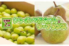 【定期便2回】山形の　シャインマスカット＆ラ・フランス 【令和7年産先行予約】FU23-798 フルーツ定期便 くだもの 果物 ぶどう 葡萄 なし 梨 洋梨 洋なし ラフランス 山形 山形県 山形市2025年産