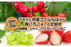 【定期便3回】やまがた 初夏さくらんぼから春いちごまでの定期便 [佐藤錦・シャインマスカット・いちご] 【令和7年産先行予約】FS24-536くだもの 果物 フルーツ 山形 山形県 山形市 2025年産