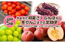 【定期便5回】やまがた ”初夏さくらんぼから冬りんご”までの5回定期便(佐藤錦・デラウエア・白桃・シャインマスカット・りんご) 【令和7年産先行予約】FS24-531くだもの 果物 フルーツ 山形 山形県 山形市 2025年産