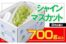 ☆フルーツ王国山形☆シャインマスカット 秀品 700g以上(1～2房)[9月お届け]  【令和7年産先行予約】FS23-733 くだもの 果物 フルーツ 山形 山形県 山形市 2025年産