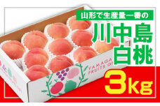 ☆フルーツ王国山形☆ 白桃 秀品3kg [山形で生産量1番の 川中島白桃 ] 【令和7年産先行予約】FS23-825 くだもの 果物 フルーツ 山形 山形県 山形市 2025年産