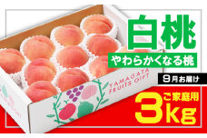 ☆フルーツ王国山形☆[ご家庭用] 白桃 〇秀品 3kg [やわらかくなる桃] 9月お届け 【令和7年産先行予約】FS23-827 くだもの 果物 フルーツ 山形 山形県 山形市 2025年産