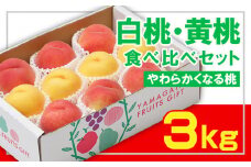 ☆フルーツ王国山形☆白桃・黄桃食べ比べセット 秀品3kg [やわらかくなる桃] 【令和7年産先行予約】FS23-829 くだもの 果物 フルーツ 山形 山形県 山形市 2025年産