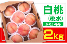 ☆フルーツ王国山形☆ 白桃(桃水) 秀品 2kg [かたい桃] 【令和7年産先行予約】FS23-831 くだもの 果物 フルーツ 山形 山形県 山形市 2025年産