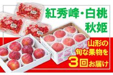 【定期便3回】☆フルーツ王国山形☆紅秀峰・白桃・秋姫 【令和7年産先行予約】FS23-835 くだもの 果物 フルーツ 山形 山形県 山形市 2025年産
